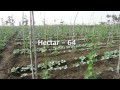 DOCUMENTARY ON ORGANIC FARMING