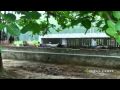 Gavitas Organic Farm in India | What is Organic | Video | Veria Living