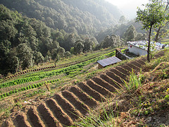 Organic Farming