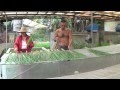 Organic Farming in the Philippines (reality TV, episode 20: 